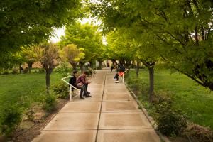 محیط دانشگاه