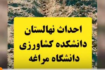 احداث نهالستان دانشکده کشاورزی