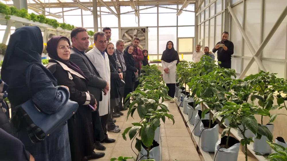 بازدید کارشناسان جهاد کشاورزی شهرستان مراغه به همراه گلخانه داران و کشاورزان پیشرو از سیستمهای کشت بدون خاک دانشکده کشاورزی
