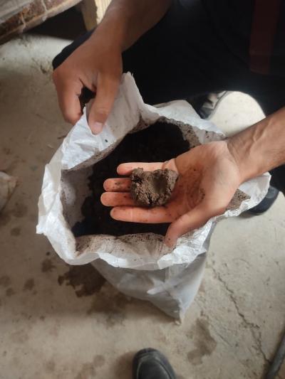 نحوه ضدعفونی خاک پوششی سالن قارچ و دمای کمپوست بستر رشد قارچ